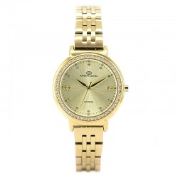 Montre Femme RAYMOND DANIEL RD3141-C