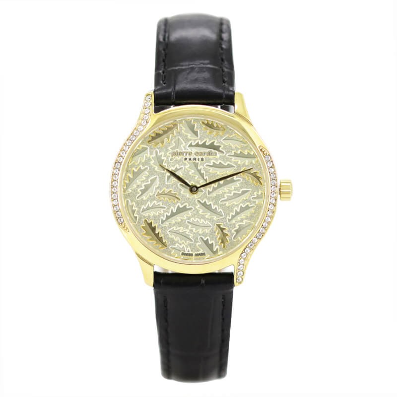 Montre Femme Pierre Cardin A.PC108612S403