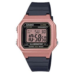 Montre Unisexe Casio W-217HM-5AVDF