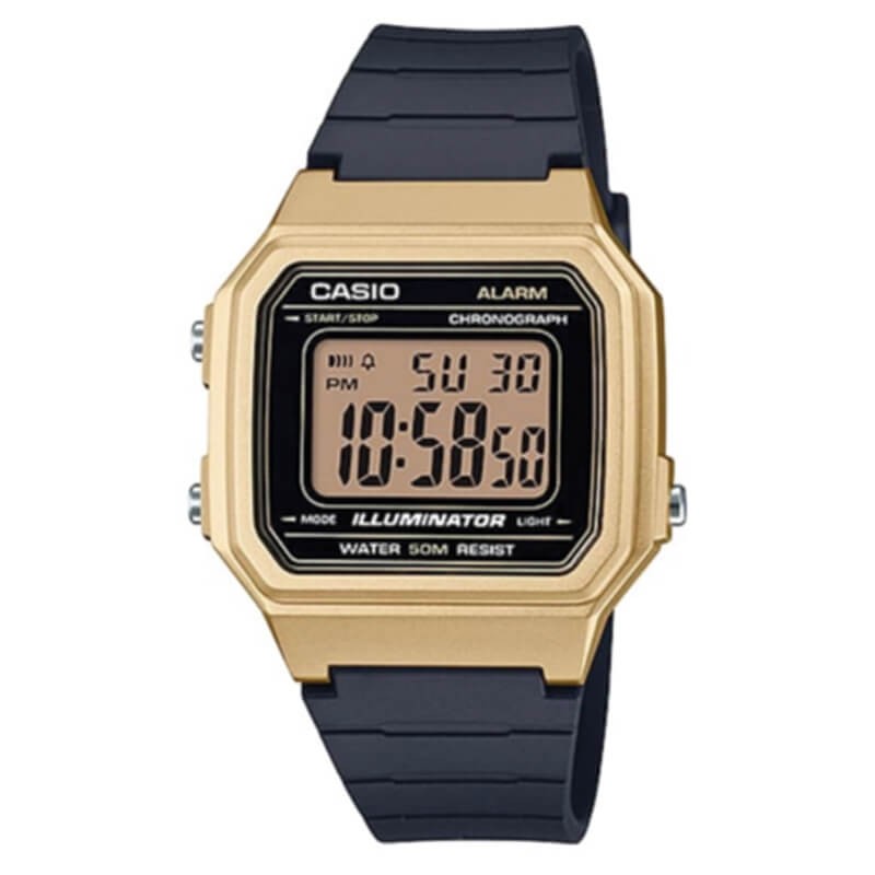 Montre Homme Casio W-217HM-9AVDF