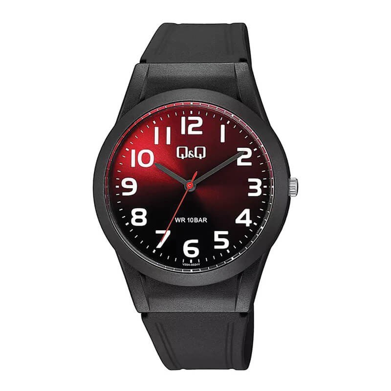 Montre Unisexe Q&Q V25A-002VY