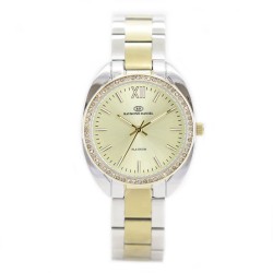 Montre Femme RAYMOND DANIEL RD3281-C