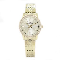 Montre Femme RAYMOND DANIEL RD3501E-E