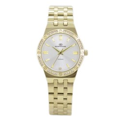 Montre Femme RAYMOND DANIEL RD3889-D