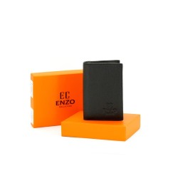 ENZO COLLECTION...
